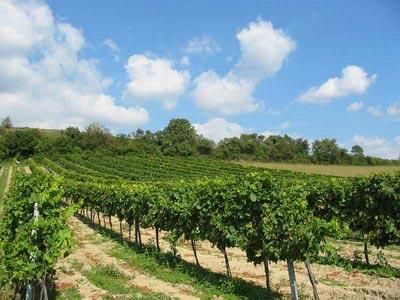 背上行囊，讓心去旅行：全球最吸引人的20個(gè)旅游目的地