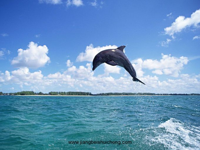 【全球行·大洋洲】關(guān)島