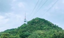 首爾一地雙飛五天尊享半自由-山航晚班